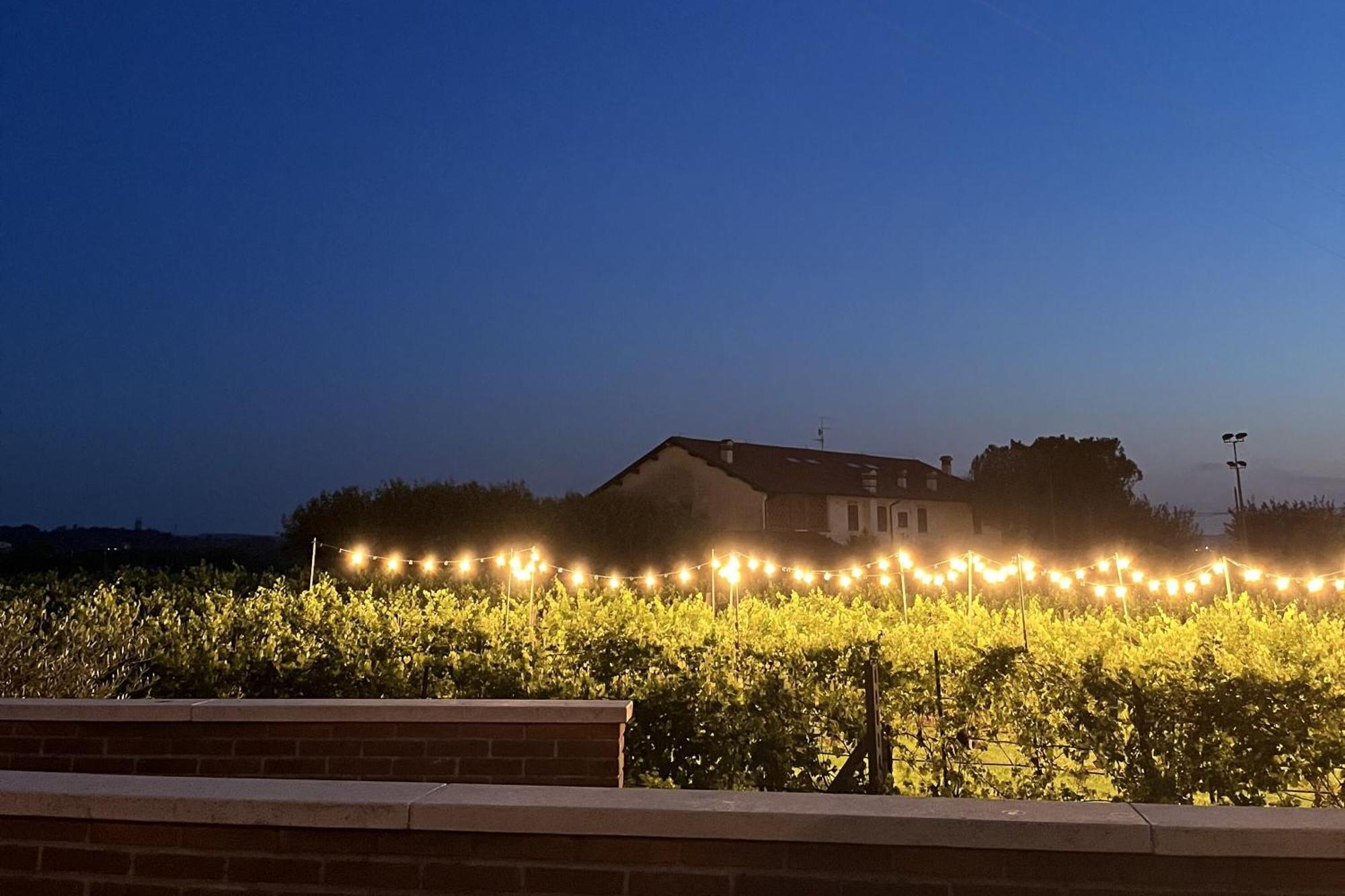 Almavite Wine Resort With Pool Desenzano del Garda Exterior foto